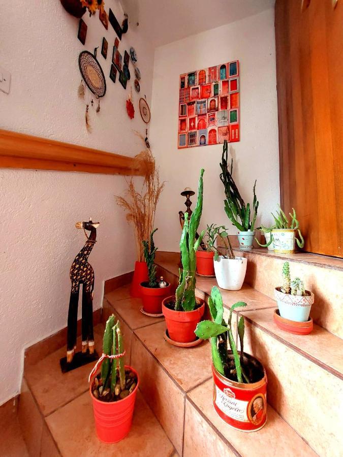 סקופיה Incredible Apartment With A Mountain View - Matka מראה חיצוני תמונה