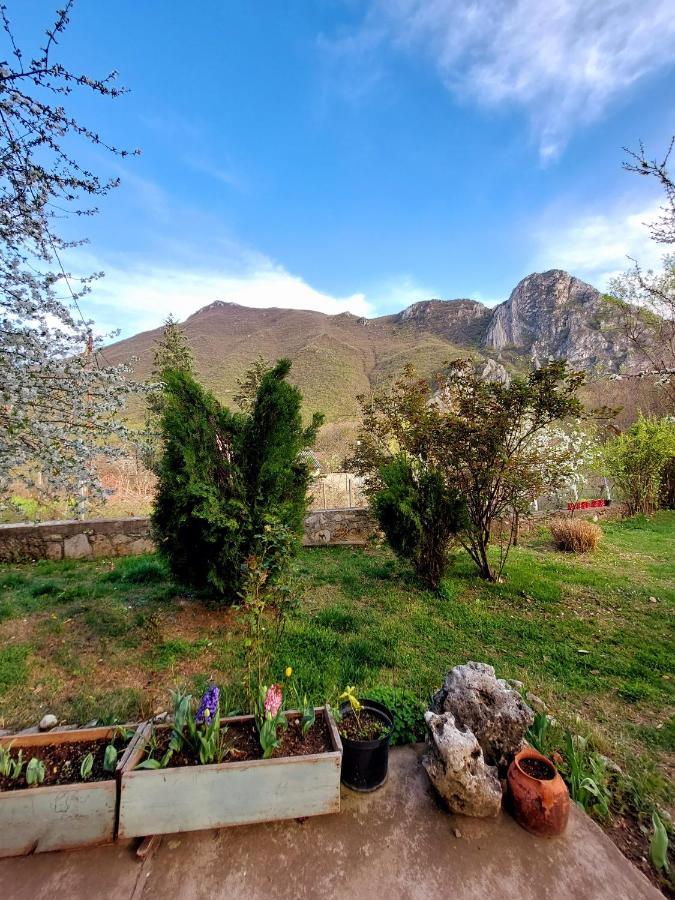 סקופיה Incredible Apartment With A Mountain View - Matka מראה חיצוני תמונה